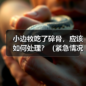 小边牧吃了碎骨,应该如何处理?(紧急情况下的急救措施及后续处理方法)(图1) 小边牧吃了碎骨,应该如何处理?(紧急情况下的急救措施及后续处理方法)(图1)