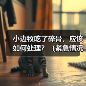小边牧吃了碎骨,应该如何处理?(紧急情况下的急救措施及后续处理方法)(图2) 小边牧吃了碎骨,应该如何处理?(紧急情况下的急救措施及后续处理方法)(图2)