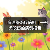 海泊舒治疗病例 | 一例犬咬伤的病例报告(图4) 海泊舒治疗病例 | 一例犬咬伤的病例报告(图4)