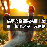 瑞辰宠物医院集团 | 第3周“每周之星”光荣榜
