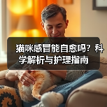猫咪感冒能自愈吗?科学解析与护理指南(图1) 猫咪感冒能自愈吗?科学解析与护理指南(图1)