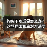 狗狗干咳反复怎么办?这些病因和应对方法要了解(图1) 狗狗干咳反复怎么办?这些病因和应对方法要了解(图1)