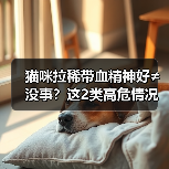 猫咪拉稀带血精神好≠没事?这2类高危情况必须马上送医(图1) 猫咪拉稀带血精神好≠没事?这2类高危情况必须马上送医(图1)