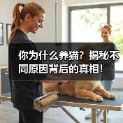 你为什么养猫?揭秘不同原因背后的真相!(图4) 你为什么养猫?揭秘不同原因背后的真相!(图4)
