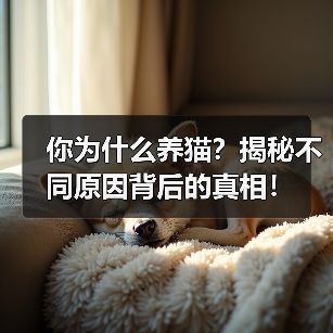 你为什么养猫?揭秘不同原因背后的真相!(图1) 你为什么养猫?揭秘不同原因背后的真相!(图1)