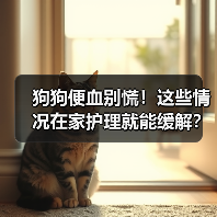 狗狗便血别慌!这些情况在家护理就能缓解?(图3) 狗狗便血别慌!这些情况在家护理就能缓解?(图3)