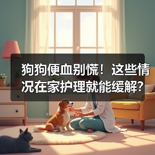 狗狗便血别慌!这些情况在家护理就能缓解?(图1) 狗狗便血别慌!这些情况在家护理就能缓解?(图1)