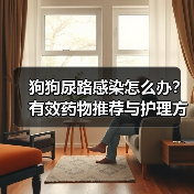 狗狗尿路感染怎么办?有效药物推荐与护理方法(图3) 狗狗尿路感染怎么办?有效药物推荐与护理方法(图3)
