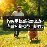 狗狗尿路感染怎么办?有效药物推荐与护理方法(图4) 狗狗尿路感染怎么办?有效药物推荐与护理方法(图4)