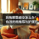 狗狗尿路感染怎么办?有效药物推荐与护理方法(图1) 狗狗尿路感染怎么办?有效药物推荐与护理方法(图1)