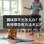 猫咪尿不出怎么办?热敷按摩急救方法大公开!(图4) 猫咪尿不出怎么办?热敷按摩急救方法大公开!(图4)