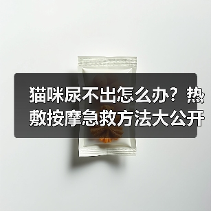 猫咪尿不出怎么办?热敷按摩急救方法大公开!(图1) 猫咪尿不出怎么办?热敷按摩急救方法大公开!(图1)