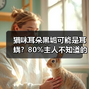 猫咪耳朵黑垢可能是耳螨?80%主人不知道的真相!(图4) 猫咪耳朵黑垢可能是耳螨?80%主人不知道的真相!(图4)