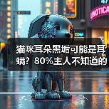 猫咪耳朵黑垢可能是耳螨?80%主人不知道的真相!(图2) 猫咪耳朵黑垢可能是耳螨?80%主人不知道的真相!(图2)