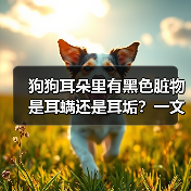 狗狗耳朵里有黑色脏物是耳螨还是耳垢?一文教你科学辨别与彻底清除(图3) 狗狗耳朵里有黑色脏物是耳螨还是耳垢?一文教你科学辨别与彻底清除(图3)