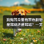 狗狗耳朵里有黑色脏物是耳螨还是耳垢?一文教你科学辨别与彻底清除(图1) 狗狗耳朵里有黑色脏物是耳螨还是耳垢?一文教你科学辨别与彻底清除(图1)