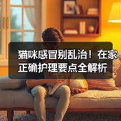 猫咪感冒别乱治!在家正确护理要点全解析(图2) 猫咪感冒别乱治!在家正确护理要点全解析(图2)