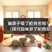 猫鼻子破了能自愈吗?(探究猫咪鼻子的自愈能力及相应护理方法)(图4) 猫鼻子破了能自愈吗?(探究猫咪鼻子的自愈能力及相应护理方法)(图4)