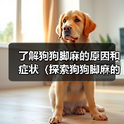 了解狗狗脚麻的原因和症状(探索狗狗脚麻的治疗和预防方法)(图2) 了解狗狗脚麻的原因和症状(探索狗狗脚麻的治疗和预防方法)(图2)