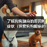 了解狗狗脚麻的原因和症状(探索狗狗脚麻的治疗和预防方法)(图3) 了解狗狗脚麻的原因和症状(探索狗狗脚麻的治疗和预防方法)(图3)