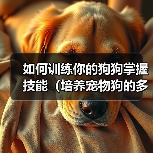 如何训练你的狗狗掌握技能（培养宠物狗的多种技能，提升亲密度与智力）（图3）