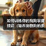 如何训练你的狗狗掌握技能（培养宠物狗的多种技能，提升亲密度与智力）（图2）
