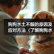 狗狗水土不服的原因及应对方法(了解狗狗水土不服的关键因素,为其提供适当的环境和护理)(图4) 狗狗水土不服的原因及应对方法(了解狗狗水土不服的关键因素,为其提供适当的环境和护理)(图4)