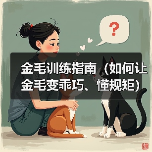 金毛训练指南(如何让金毛变乖巧、懂规矩)(图2) 金毛训练指南(如何让金毛变乖巧、懂规矩)(图2)