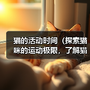猫的活动时间(探索猫咪的运动极限,了解猫的充沛精力)(图4) 猫的活动时间(探索猫咪的运动极限,了解猫的充沛精力)(图4)
