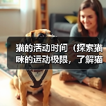 猫的活动时间(探索猫咪的运动极限,了解猫的充沛精力)(图3) 猫的活动时间(探索猫咪的运动极限,了解猫的充沛精力)(图3)