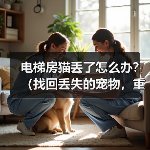电梯房猫丢了怎么办？（找回丢失的宠物，重拾失去的温暖）