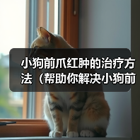 小狗前爪红肿的治疗方法(帮助你解决小狗前爪红肿的问题)(图3) 小狗前爪红肿的治疗方法(帮助你解决小狗前爪红肿的问题)(图3)