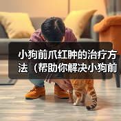 小狗前爪红肿的治疗方法（帮助你解决小狗前爪红肿的问题）
