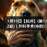 1月19日【杭州】(第122期)丨外科手术(中阶)实战班,2人/组提供一猫一狗,实操超多!(图3) 1月19日【杭州】(第122期)丨外科手术(中阶)实战班,2人/组提供一猫一狗,实操超多!(图3)