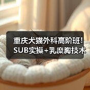 重庆犬猫外科高阶班!SUB实操+乳糜胸技术实战演练(图2) 重庆犬猫外科高阶班!SUB实操+乳糜胸技术实战演练(图2)
