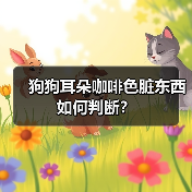 狗狗耳朵咖啡色脏东西如何判断?(图2) 狗狗耳朵咖啡色脏东西如何判断?(图2)