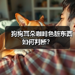 狗狗耳朵咖啡色脏东西如何判断?(图4) 狗狗耳朵咖啡色脏东西如何判断?(图4)