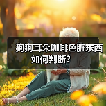 狗狗耳朵咖啡色脏东西如何判断?(图3) 狗狗耳朵咖啡色脏东西如何判断?(图3)