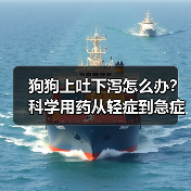狗狗上吐下泻怎么办?科学用药从轻症到急症全解析(图2) 狗狗上吐下泻怎么办?科学用药从轻症到急症全解析(图2)