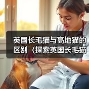 英国长毛猫与高地猫的区别（探索英国长毛猫和高地猫的特征和个性）