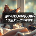 猫咪膀胱炎该怎么用药?别乱吃药先查病因!(图3) 猫咪膀胱炎该怎么用药?别乱吃药先查病因!(图3)