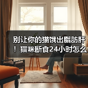 别让你的猫饿出脂肪肝!猫咪断食24小时怎么办?(图4) 别让你的猫饿出脂肪肝!猫咪断食24小时怎么办?(图4)