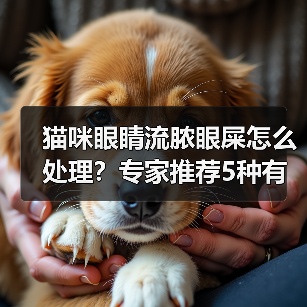 猫咪眼睛流脓眼屎怎么处理?专家推荐5种有效方法(图3) 猫咪眼睛流脓眼屎怎么处理?专家推荐5种有效方法(图3)