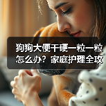 狗狗大便干硬一粒一粒怎么办？家庭护理全攻略