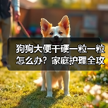 狗狗大便干硬一粒一粒怎么办?家庭护理全攻略(图3) 狗狗大便干硬一粒一粒怎么办?家庭护理全攻略(图3)