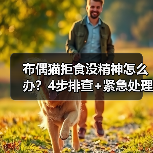 布偶猫拒食没精神怎么办?4步排查+紧急处理全攻略(图3) 布偶猫拒食没精神怎么办?4步排查+紧急处理全攻略(图3)