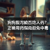 狗狗腹泻能否吃人药?正确用药指南避免中毒风险(图3) 狗狗腹泻能否吃人药?正确用药指南避免中毒风险(图3)