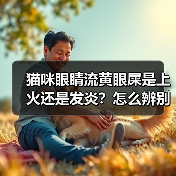 猫咪眼睛流黄眼屎是上火还是发炎?怎么辨别和处理(图4) 猫咪眼睛流黄眼屎是上火还是发炎?怎么辨别和处理(图4)