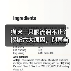 猫咪一只眼流泪不止?揭秘六大原因,别再当冤种!(图2) 猫咪一只眼流泪不止?揭秘六大原因,别再当冤种!(图2)