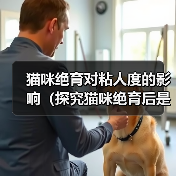 猫咪绝育对粘人度的影响(探究猫咪绝育后是否会更加亲人的现象及其原因)(图2) 猫咪绝育对粘人度的影响(探究猫咪绝育后是否会更加亲人的现象及其原因)(图2)